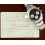 Rolex Vintage 1966 BLANK Watch paper document Guarantee ref RP 1233.V.66-60 M HAEFELI & Co Rolex Daytona 6239 Paul Newman
