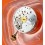 Rolex Fourniture horlogère Rare Calibre mouvement occasion montres Dames 2030 montres Oyster Perpetual 6719,6718,6748,6723,67193