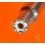 Rolex oyster watch universal tool ref 2091 Screwdriver Calibre 3035 Swiss Made collectible instrument item