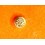 Rolex Vintage remontoir 24-26B301-8 couronne or jaune 3.70mm ref 243 montres Rolex Cellini