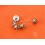 Rolex New Authentic Watch spares accessories 5100 furniture Rolex 3135-5100 Case 5 x Screws