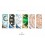 Rolex catalogue Baselworld 2013 montres GMT 116710BLNR,Daytona 116506,Yacht-Master II 116680,Day-Date 118138,118139,118399BR