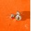 Rolex New Authentic Watch spares accessories 3 x screws parts Rolex calibres movements 3035,3075,3085,3030