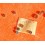 Rolex New Authentic Watch spares accessories various stuff clips parts Rolex calibres movements 3035,3075,3085,3030