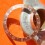 Rolex vintage 70's Faded Grey Brown Bronze patina GMT MASTER EXOTIC 1675,16750,16753,16758,1675/8,1675/3 Watch Bezel Insert part