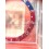Rolex New original GMT Master watch PEPSI Blue Red color S/S 16700,16710,16760 Bezel 24H Insert Part