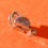 Generic Stainless Steel Jubilee spare connect link for Rolex Bracelet 62510H Watch 16mm link band unsigned