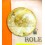 ROLEX CADRAN GRANDE TAPISSERIE OR CHAMPAGNE MONTRES DATEJUST 16233,16013,16233,16233,16203,16003,16008 cal 3035,3135