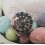 ROLEX ORIGINAL 16750,16700,16710,16760 GMT TRITIUM HOURS HAND GMT MASTER EXPLORER 16550 WATCH Cal 3075,3085