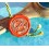 Rolex 2000'S Red Hang Seal Tag CERTIFIED OFFICIAL CHRONOMETER 16610,14060M COSC,16710,16570,116520,116518,16230,16618