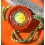 Rolex 1998 Red Hang Seal Tag CERTIFIED OFFICIAL CHRONOMETER 16610,14060M,16710,16570,116520,116518,16230,16618