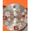 Rolex Rare Datejust Floral Dial flowers Silvered Datejust 36mm 16234,116244 Calibres 3135,3035