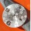 Rolex Rare Datejust Floral Dial flowers Silvered Datejust 36mm 16234,116244 Calibres 3135,3035