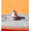 Rolex Original Tube Triplock vissé 7030 couronne Montres Rolex 1680,16800,16610,116610,14060M Daytona 116520,16520 GMT 116710