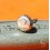 Rolex Rare GENUINE Ø6mm WATCH SCREWED CROWN PATEND + SSTEEL TWINLOCK SUBMARINER 6205,6204 GMT 6542