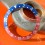 Rolex Pepsi Bezel Insert Faded Pink red Atlantic Blue colors original Vintage GMT Master 1675,16750,6542