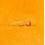 Rolex 5041 genuine watch part 3030 3035 5041 Yoke spring for service,restore,repair rolex watches Submariner 16800,datejust