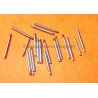 Rolex Fourniture horlogère lot vis de maillons bracelets montres type oyster acier 904L brut à restaurer, assembler