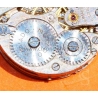 MOVADO collectible vintage 40's lady dial watches alpha hand and manual winding mechanical caliber 15 jewels for restore
