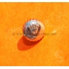 Rolex remontoir acier vintage couronne 6mm montres anciennes Datejust 1601,1602,1603,Explorer 1016