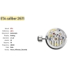 Cartier authentique calibre 77 automatique mouvement 2671 ETA 25 rubis montres Santos dames