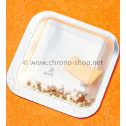 Rolex 2130-5000 Genuine Watch spares ladies watches Rolex 2130-5000,2135-5000 Set of Screws New Factory Sealed