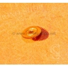Rolex 5035-6024 Genuine 5035 Part 6024 Hour Wheel Double Toothing New Rolex Oysterquartz 17000,17013,17014