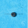 Rolex 6948 Cal 1030 Winding Pinion spare 1030-6948 Horological 50's Furniture Watch spare for sale