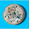 Rolex 6890 rare fourniture horlogère ref 6890 Platine Cal 1030,1030-6890 montres vintages Submariner 6538,6536,5508