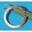 VINTAGE 70's Rolex GMT Two Tone 16753, 16758, 1675/3, 1675/8, 16750 Root Beer Faded bezel Insert