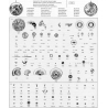 Rolex pièce 1530-7831 fourniture montres ref 7831 Roue moyenne calibres automatiques 1520, 1530, 1560, 1570, 1530-7831
