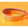 Gay Freres Rally Tone Rose gold plated extensible 22,20mm 19mm 18mm 17mm Vintage Watch Band