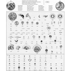 Rolex 7827 fournitures montres 7827-1530 barillet et ressort de barillet calibre Rolex automatique 1530,1520,1570