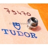 Tudor Black Bay Pro GMT 79470 Originale tube vissé acier inoxydable de Couronne acier 6mm