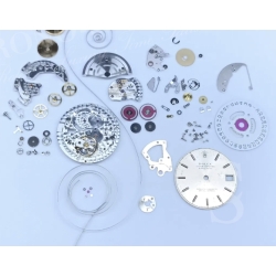 ROLEX 2135-230 PIECES DETACHEES SAUTOIRS DE TIRETTE CALIBRE AUTOMATIQUE 2135 MONTRES DAMES