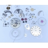 ROLEX 2135-230 PIECES DETACHEES SAUTOIRS DE TIRETTE CALIBRE AUTOMATIQUE 2135 MONTRES DAMES