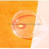 Tudor Verre Acrylique Cyclope 131,25-131 montres dames tudor princess oysterdate 9301,9303,9311,9313,9321,9323