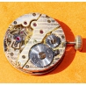 Titus Genève Waterproof Shockabsorber Non Magnetic Vintage Mechanical Watch Army black dial