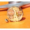 Titus Genève Waterproof Shockabsorber Non Magnetic Vintage Mechanical Watch Army black dial