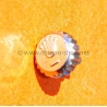 ROLEX 24-600-0 VINTAGE RARE COURONNE REMONTOIR TWINLOCK ref 24-600 MONTRES ROLEX OYSTER ACIER Ø6mm