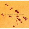 Rolex Original Watch part lot 18 x mixed screws manual calibres 1210,1225,1215,1220 Oyster 6694