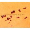 Rolex fournitures pièces horlogères lot 18 x vis acier Calibres manuels 1200,1210,1225,1215