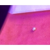 Rolex Original Dot pip pearl 5513 vintage 70's dot pearl tritium Submariner 5508,5510,6538,6536,5513,5512,1680