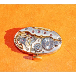 Rare vintage calibre mécanique manuel ovale ODIN mouvement suisse vintage montres dames