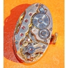 Rare Vintage ODIN Manual-Wind Ovoid Movement A Distinctive and Refined Swiss Caliber