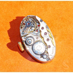 Rare vintage calibre mécanique manuel ovale ODIN mouvement suisse vintage montres dames