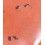 IWC Schaffhausen Aquatimer 2000 GST 3536-01, 3536, vis de lunette