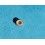 ??ROLEX VINTAGE PERLE / PLOT AU TRITIUM COULEUR VANILLE 5513, 5512, 1680, 5510, 5508, SEA-DWELLER 1665??