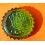 ?? ROLEX COLLECTOR PRESSE PAPIERS VERT COURONNE TRIPLOCK COLLECTION 2011 ??