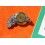 Rolex Factory spares 7822, 7825, 7827, barrel bridge part, MAIN SPRING, complete barrel Cal automatics 1520, 1530, 1560, 1570